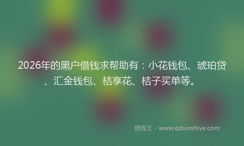 2026年的黑户借钱求帮助有：小花钱包、琥珀贷、汇金钱包、桔享花、桔子买单等。