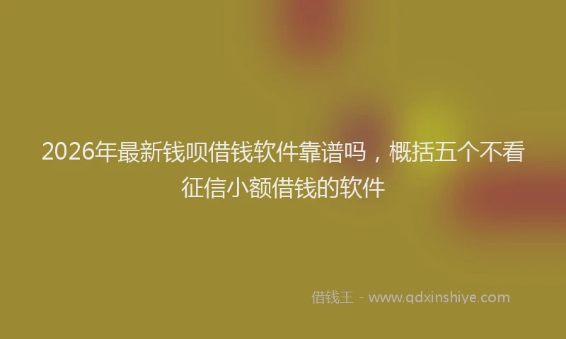 2026年最新钱呗借钱软件靠谱吗，概括五个不看征信小额借钱的软件