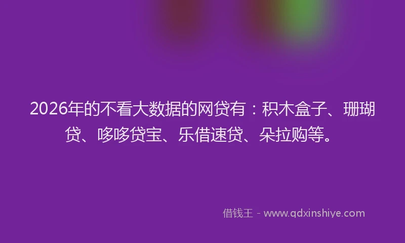 2026年的不看大数据的网贷有：积木盒子、珊瑚贷、哆哆贷宝、乐借速贷、朵拉购等。