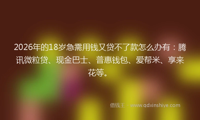 2026年的18岁急需用钱又贷不了款怎么办有：腾讯微粒贷、现金巴士、普惠钱包、爱帮米、享来花等。