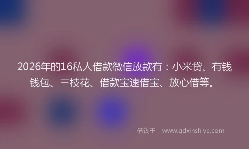 2026年的16私人借款微信放款有：小米贷、有钱钱包、三枝花、借款宝速借宝、放心借等。