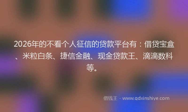 2026年的不看个人征信的贷款平台有：借贷宝盒、米粒白条、捷信金融、现金贷款王、滴滴数科等。