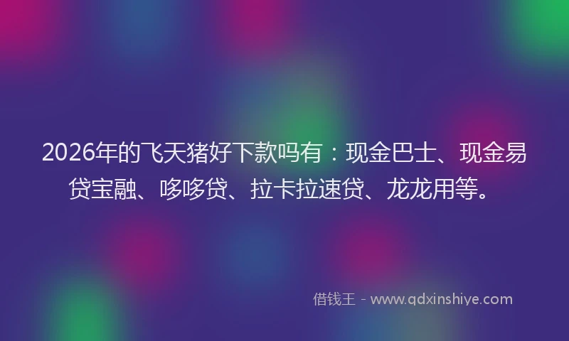 2026年的飞天猪好下款吗有：现金巴士、现金易贷宝融、哆哆贷、拉卡拉速贷、龙龙用等。