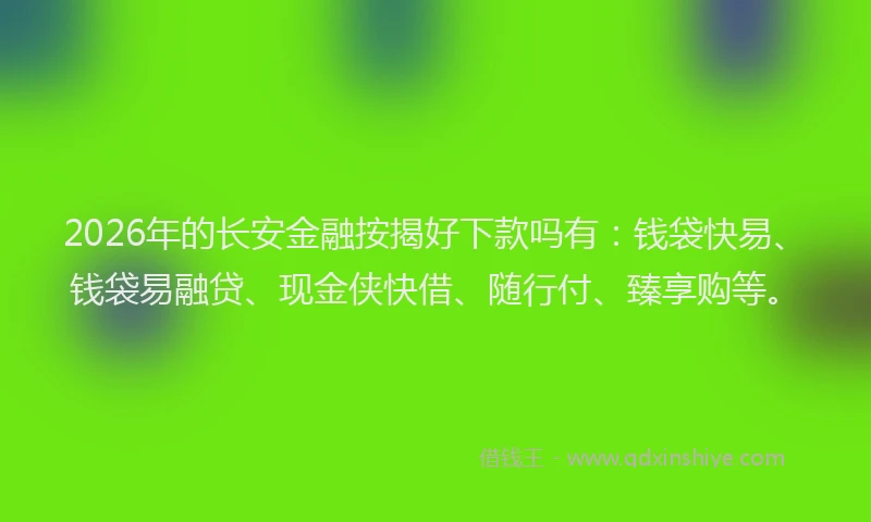 2026年的长安金融按揭好下款吗有：钱袋快易、钱袋易融贷、现金侠快借、随行付、臻享购等。