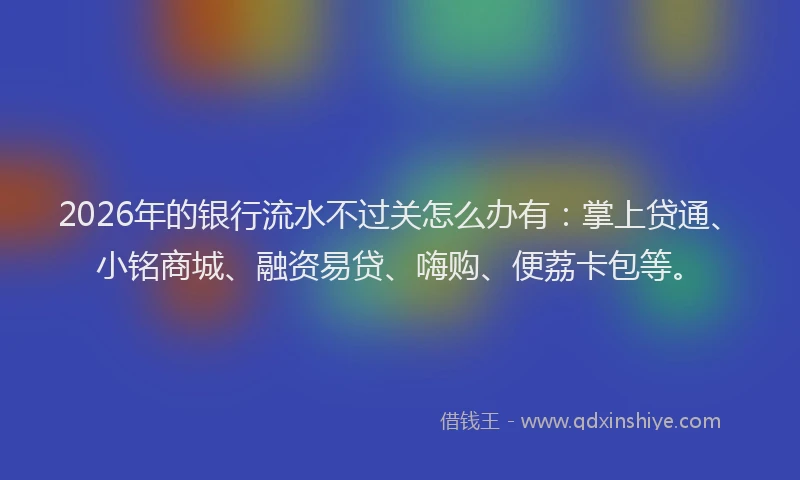 2026年的银行流水不过关怎么办有：掌上贷通、小铭商城、融资易贷、嗨购、便荔卡包等。