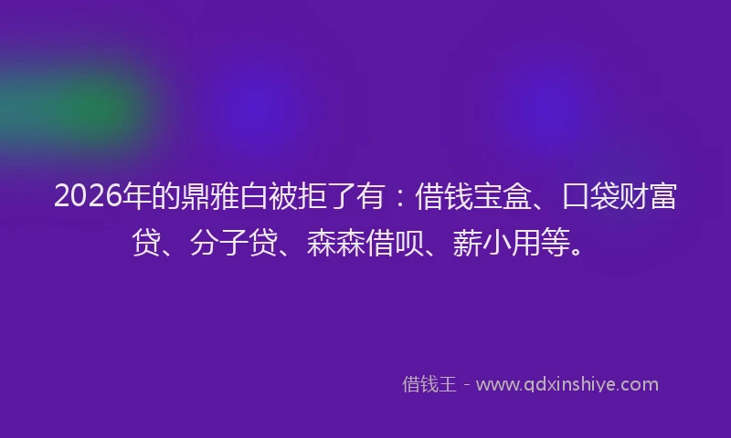 2026年的鼎雅白被拒了有：借钱宝盒、口袋财富贷、分子贷、森森借呗、薪小用等。