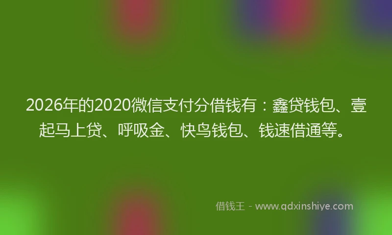 2026年的2020微信支付分借钱有：鑫贷钱包、壹起马上贷、呼吸金、快鸟钱包、钱速借通等。