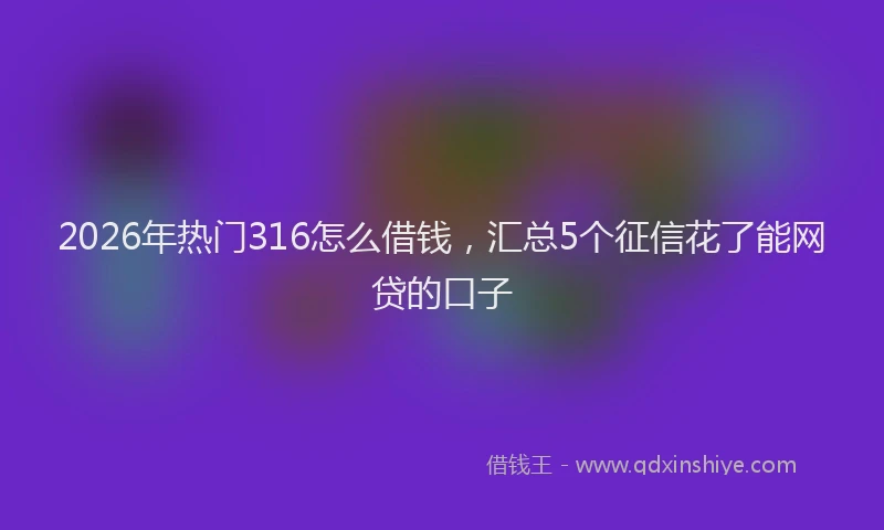 2026年热门316怎么借钱，汇总5个征信花了能网贷的口子