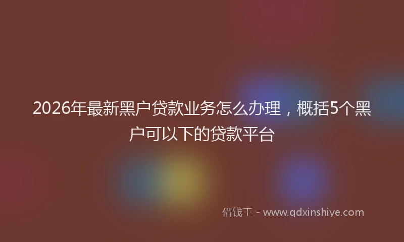2026年最新黑户贷款业务怎么办理，概括5个黑户可以下的贷款平台
