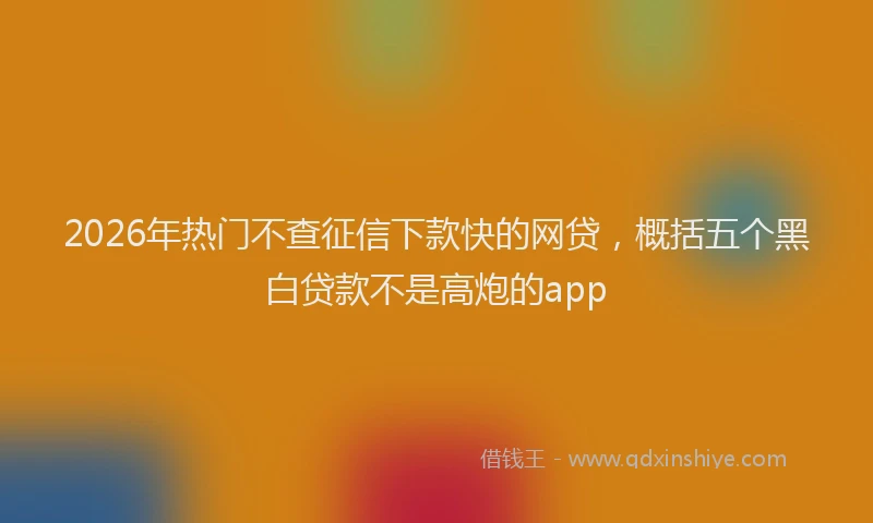 2026年热门不查征信下款快的网贷，概括五个黑白贷款不是高炮的app