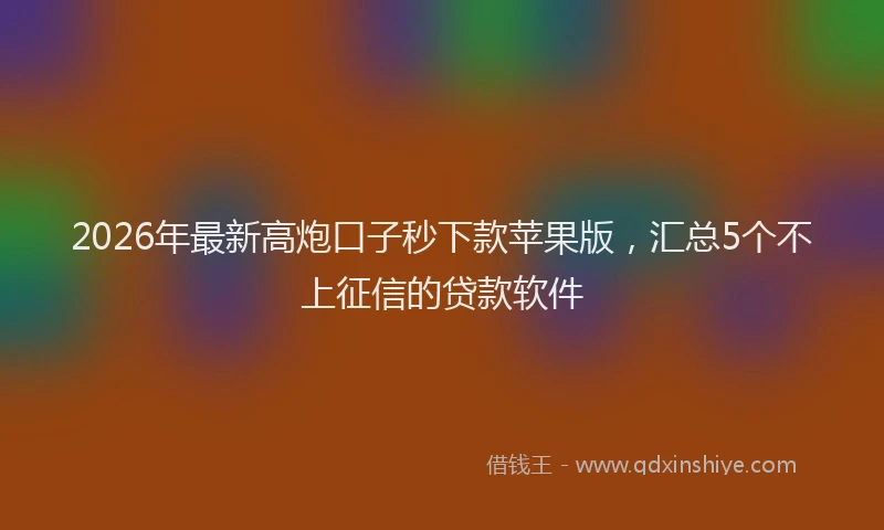 2026年最新高炮口子秒下款苹果版，汇总5个不上征信的贷款软件