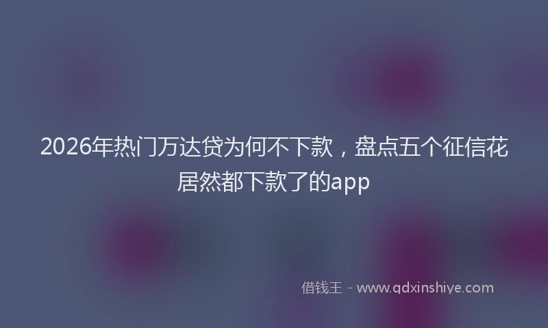 2026年热门万达贷为何不下款，盘点五个征信花居然都下款了的app