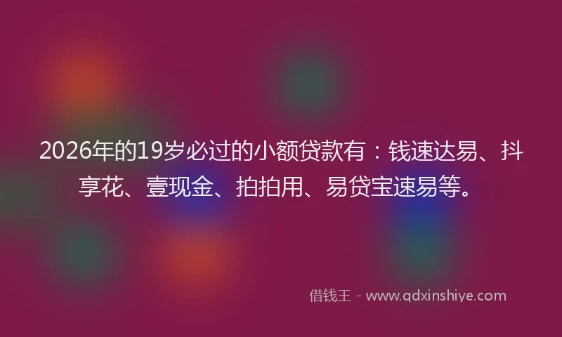 2026年的19岁必过的小额贷款有：钱速达易、抖享花、壹现金、拍拍用、易贷宝速易等。
