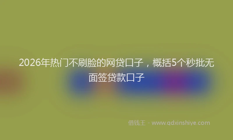 2026年热门不刷脸的网贷口子，概括5个秒批无面签贷款口子