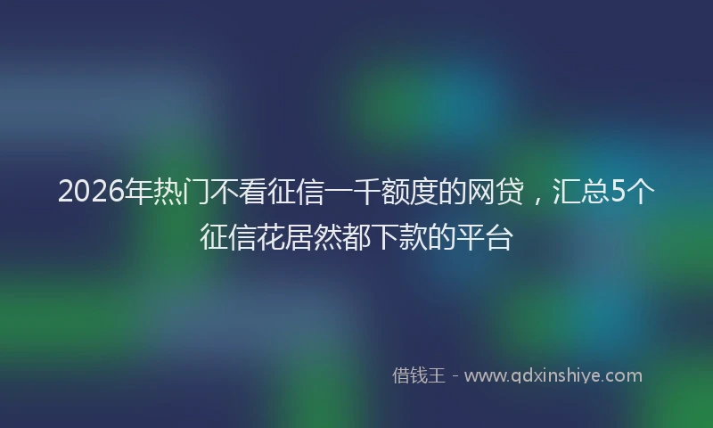 2026年热门不看征信一千额度的网贷，汇总5个征信花居然都下款的平台