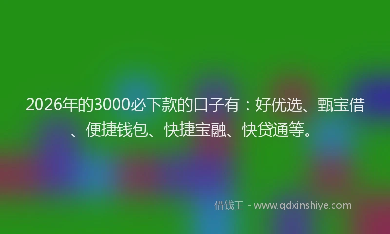 2026年的3000必下款的口子有：好优选、甄宝借、便捷钱包、快捷宝融、快贷通等。