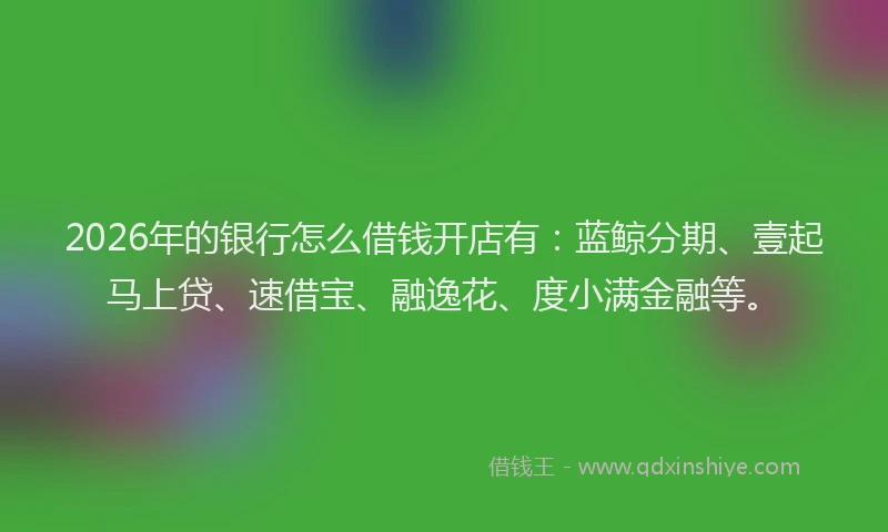 2026年的银行怎么借钱开店有：蓝鲸分期、壹起马上贷、速借宝、融逸花、度小满金融等。