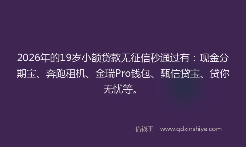 2026年的19岁小额贷款无征信秒通过有：现金分期宝、奔跑租机、金瑞Pro钱包、甄信贷宝、贷你无忧等。