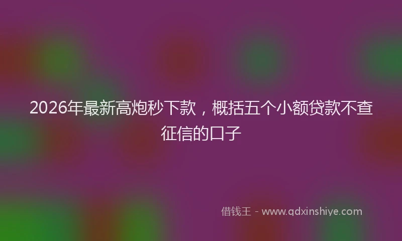 2026年最新高炮秒下款，概括五个小额贷款不查征信的口子