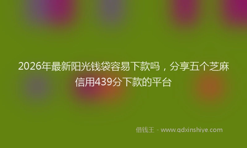 2026年最新阳光钱袋容易下款吗，分享五个芝麻信用439分下款的平台