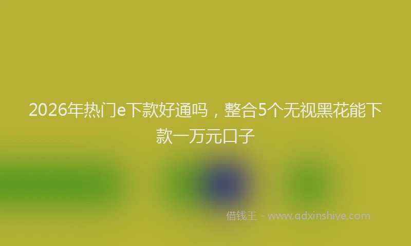 2026年热门e下款好通吗，整合5个无视黑花能下款一万元口子