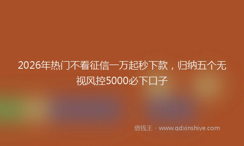 2026年热门不看征信一万起秒下款，归纳五个无视风控5000必下口子