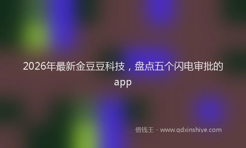 2026年最新金豆豆科技，盘点五个闪电审批的app
