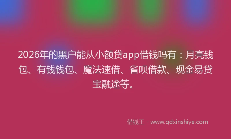 2026年的黑户能从小额贷app借钱吗有：月亮钱包、有钱钱包、魔法速借、省呗借款、现金易贷宝融途等。