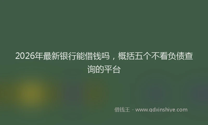 2026年最新银行能借钱吗，概括五个不看负债查询的平台