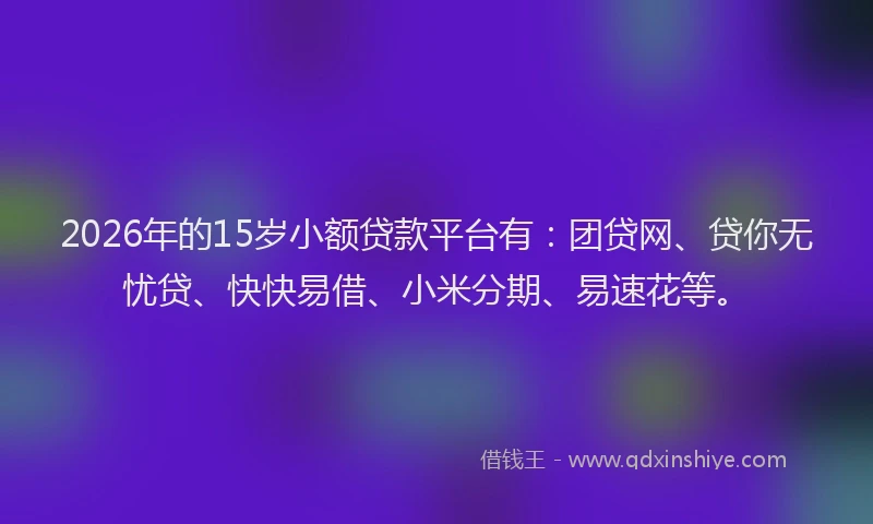 2026年的15岁小额贷款平台有：团贷网、贷你无忧贷、快快易借、小米分期、易速花等。