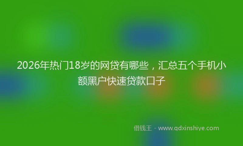2026年热门18岁的网贷有哪些，汇总五个手机小额黑户快速贷款口子