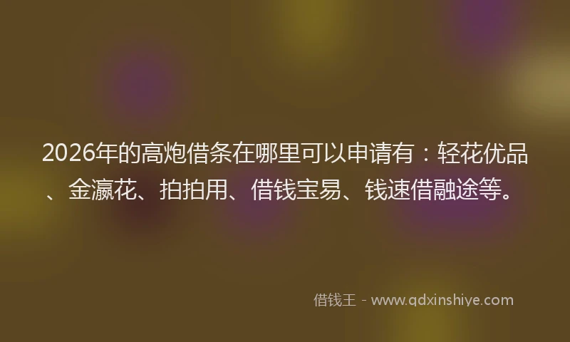 2026年的高炮借条在哪里可以申请有：轻花优品、金瀛花、拍拍用、借钱宝易、钱速借融途等。