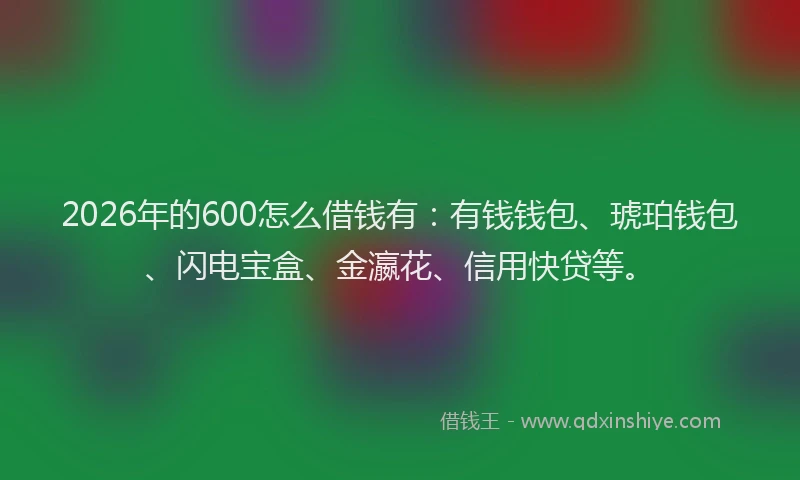2026年的600怎么借钱有：有钱钱包、琥珀钱包、闪电宝盒、金瀛花、信用快贷等。