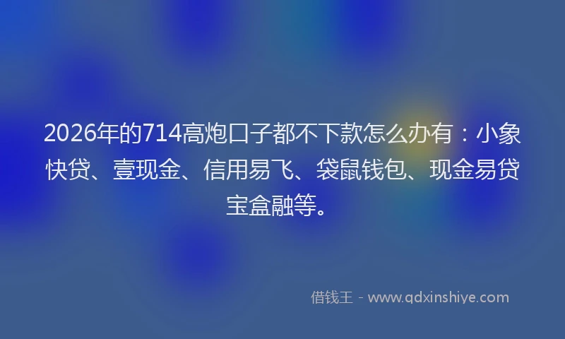 2026年的714高炮口子都不下款怎么办有：小象快贷、壹现金、信用易飞、袋鼠钱包、现金易贷宝盒融等。