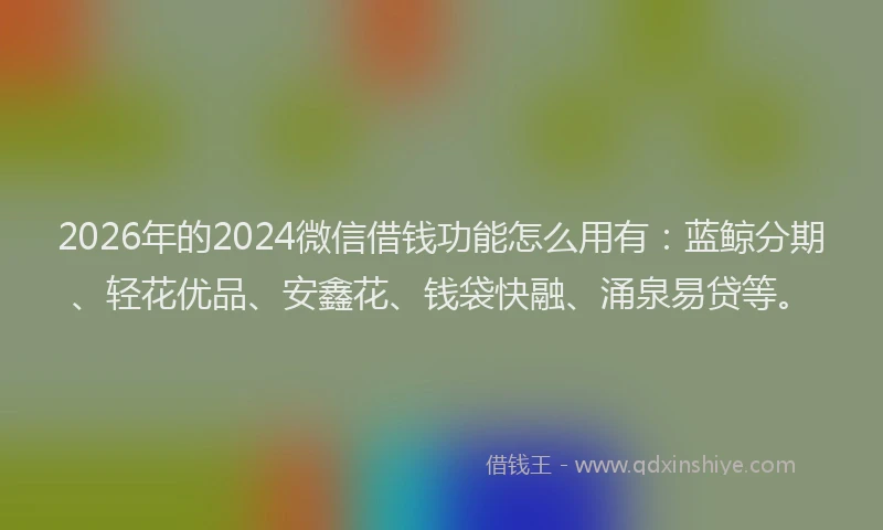 2026年的2024微信借钱功能怎么用有：蓝鲸分期、轻花优品、安鑫花、钱袋快融、涌泉易贷等。