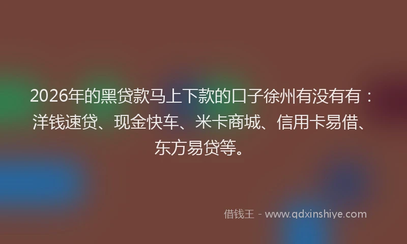 2026年的黑贷款马上下款的口子徐州有没有有：洋钱速贷、现金快车、米卡商城、信用卡易借、东方易贷等。