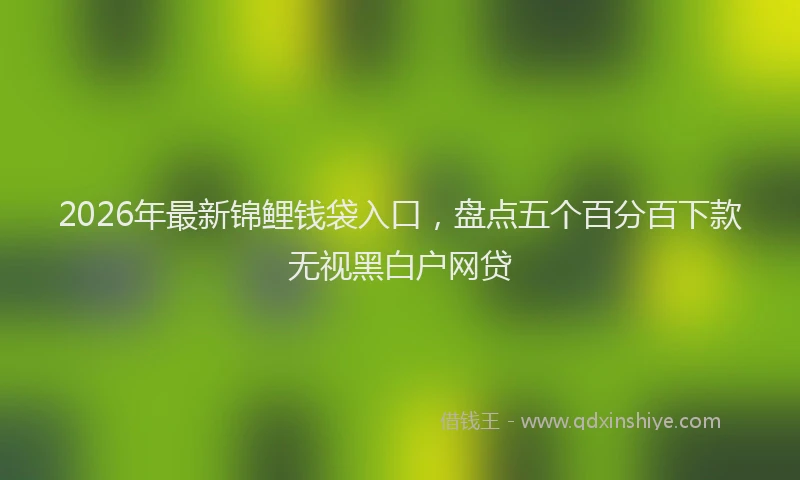 2026年最新锦鲤钱袋入口，盘点五个百分百下款无视黑白户网贷