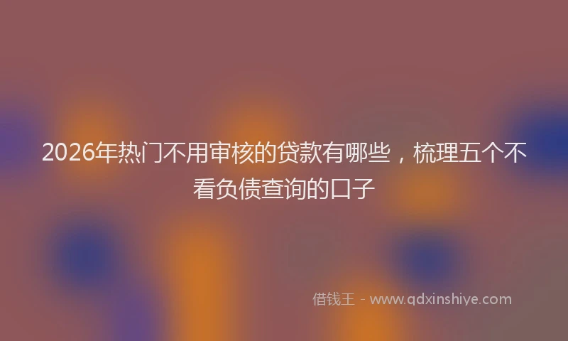 2026年热门不用审核的贷款有哪些，梳理五个不看负债查询的口子