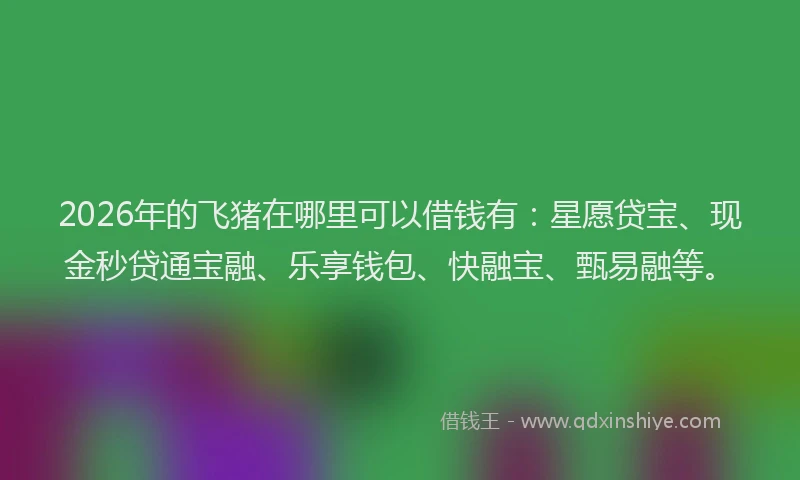 2026年的飞猪在哪里可以借钱有：星愿贷宝、现金秒贷通宝融、乐享钱包、快融宝、甄易融等。