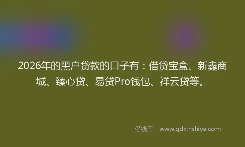 2026年的黑户贷款的口子有：借贷宝盒、新鑫商城、臻心贷、易贷Pro钱包、祥云贷等。