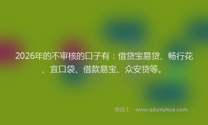 2026年的不审核的口子有：借贷宝易贷、畅行花、宜口袋、借款易宝、众安贷等。