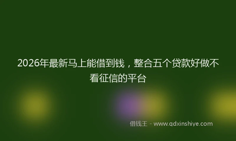 2026年最新马上能借到钱，整合五个贷款好做不看征信的平台