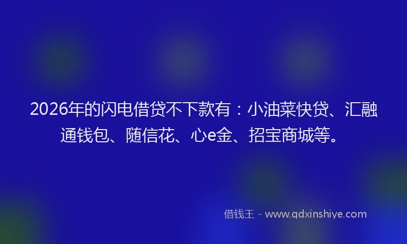 2026年的闪电借贷不下款有：小油菜快贷、汇融通钱包、随信花、心e金、招宝商城等。