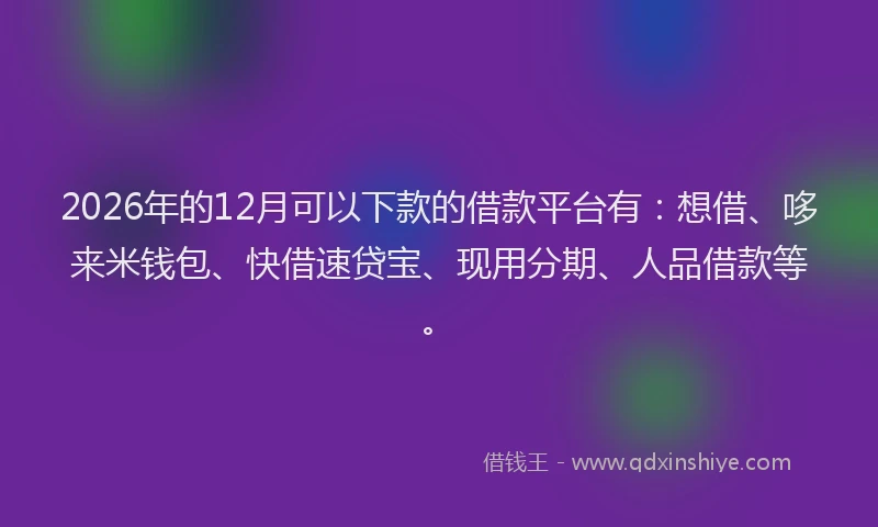2026年的12月可以下款的借款平台有：想借、哆来米钱包、快借速贷宝、现用分期、人品借款等。