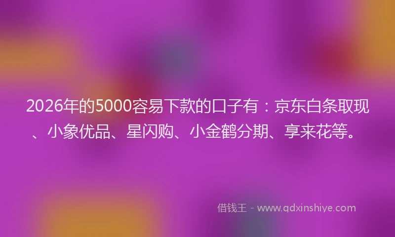2026年的5000容易下款的口子有：京东白条取现、小象优品、星闪购、小金鹤分期、享来花等。