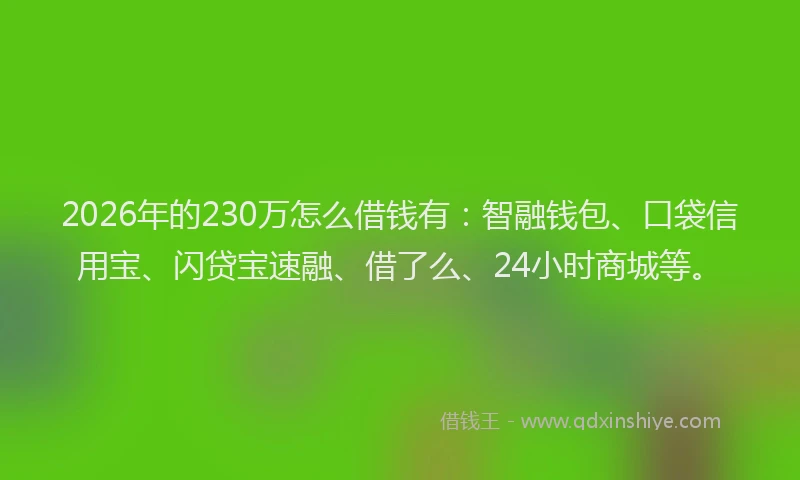 2026年的230万怎么借钱有：智融钱包、口袋信用宝、闪贷宝速融、借了么、24小时商城等。