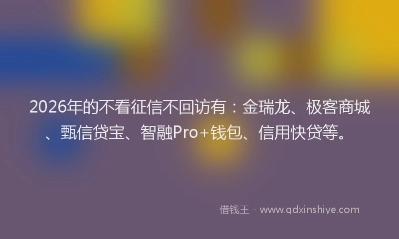 2026年的不看征信不回访有：金瑞龙、极客商城、甄信贷宝、智融Pro+钱包、信用快贷等。