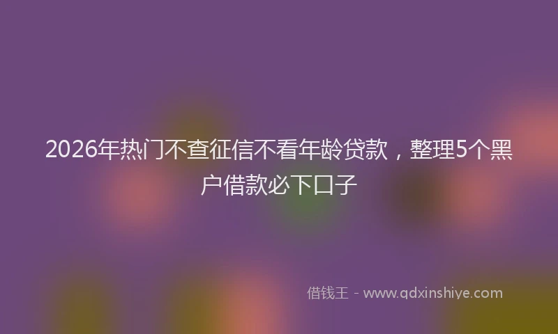 2026年热门不查征信不看年龄贷款，整理5个黑户借款必下口子
