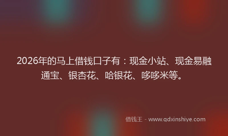 2026年的马上借钱口子有：现金小站、现金易融通宝、银杏花、哈银花、哆哆米等。
