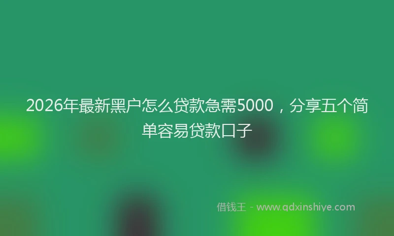 2026年最新黑户怎么贷款急需5000，分享五个简单容易贷款口子